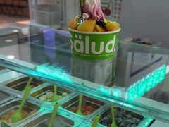 -Salud撒露欧洲冻酸奶(五道口购物中心店)