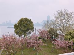 -武昌江滩