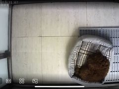 -趣玩宠物乐园寄养训犬训狗游泳池