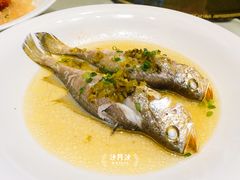 -骏莱海鲜鱼港(五角场店)