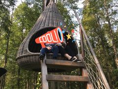 -黄海国家森林公园