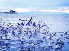 -青海湖国家重点风景名胜区