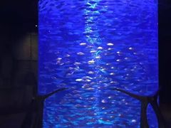 -亚特兰蒂斯水世界冒险乐园