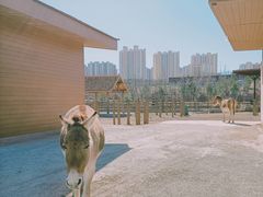-太原动物园