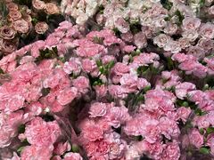 -循礼门鲜花花市(武汉循礼门店)