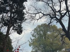 -龙华寺