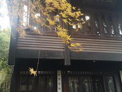 -中国茶叶博物馆(双峰馆区)