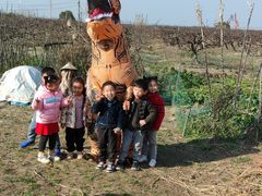 -樂桃源奉贤黄桃种植采摘基地