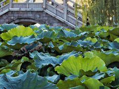 -云龙湖旅游景区