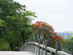 -东山湖公园