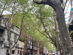 -村口大树(长乐路店)
