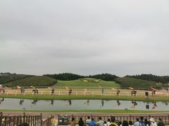 -迪茵湖田家舍生态农场