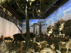 -上海博物馆(人民广场馆)