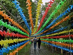 -上膳源有机农场