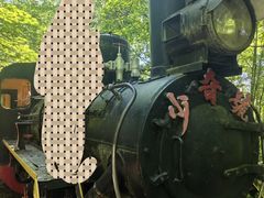 -五营红松林海景区