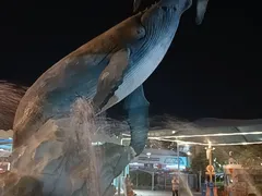 -海合安武汉极地海洋公园