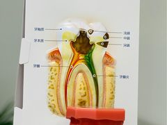 -维乐口腔·埃齐门诊(静安店)