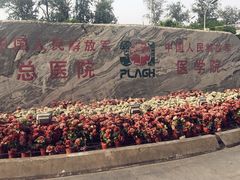 -中国人民解放军总医院(301医院)