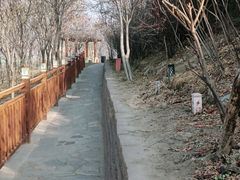 -南翠屏公园