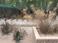 -南京金牛湖风景区