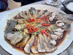 -煲来饱去冷水鱼