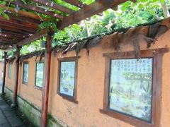 -八卦田遗址公园