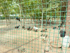 -南大港湿地风景区