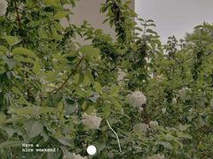 -凤凰御元艺术基地
