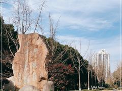 -苏州河梦清园环保主题公园