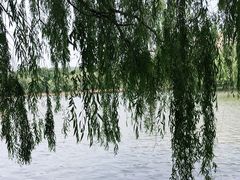 -二一九公园