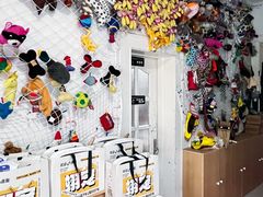 -翊宠yipet猫狗购宠庄园犬舍•猫舍