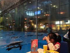 -帝企鹅自助餐厅•儿童岛•真企鹅(长隆企鹅酒店)