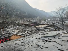 -牛背梁国家森林公园