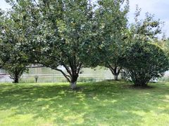 -春晖园度假酒店温泉