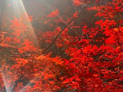 -本溪老边沟风景区