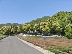 -龙坞茶村