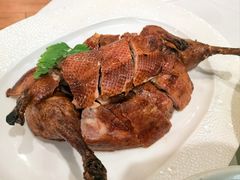 -圆苑(金茂店)