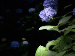 -常州古运河南大街文化旅游区-人民公园