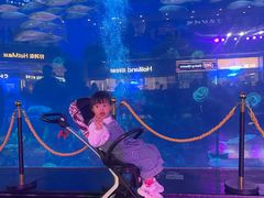 -成都浩海立方海洋公园