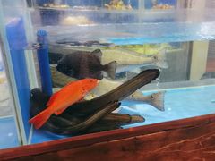 -德米火锅(深圳湾1号旗舰店)