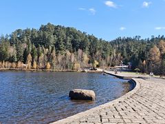 -五营红松林海景区