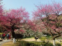 -杭州植物园