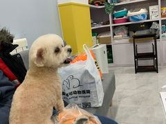 -瑞派·爱瑞可动物医院·口腔专科(广华新城分院)