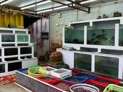 -南蚝小贝海鲜特色餐厅(南澳岛店)