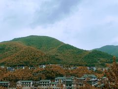 -莫干山风景区