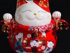 -屯老二农家铁锅炖·行业领军者(梅江店)