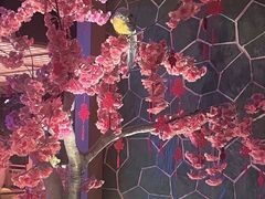 -蓝鲸湾汤泉(包河店)