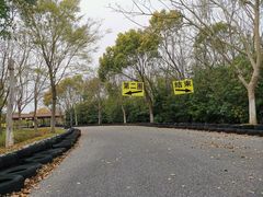 -上海海湾国家森林公园