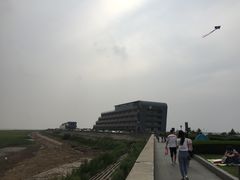 -南汇嘴观海公园