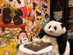 -轩客会(熊猫书店)